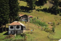 /album/turlarimiz/kadirga-yaylasi-2-jpg/